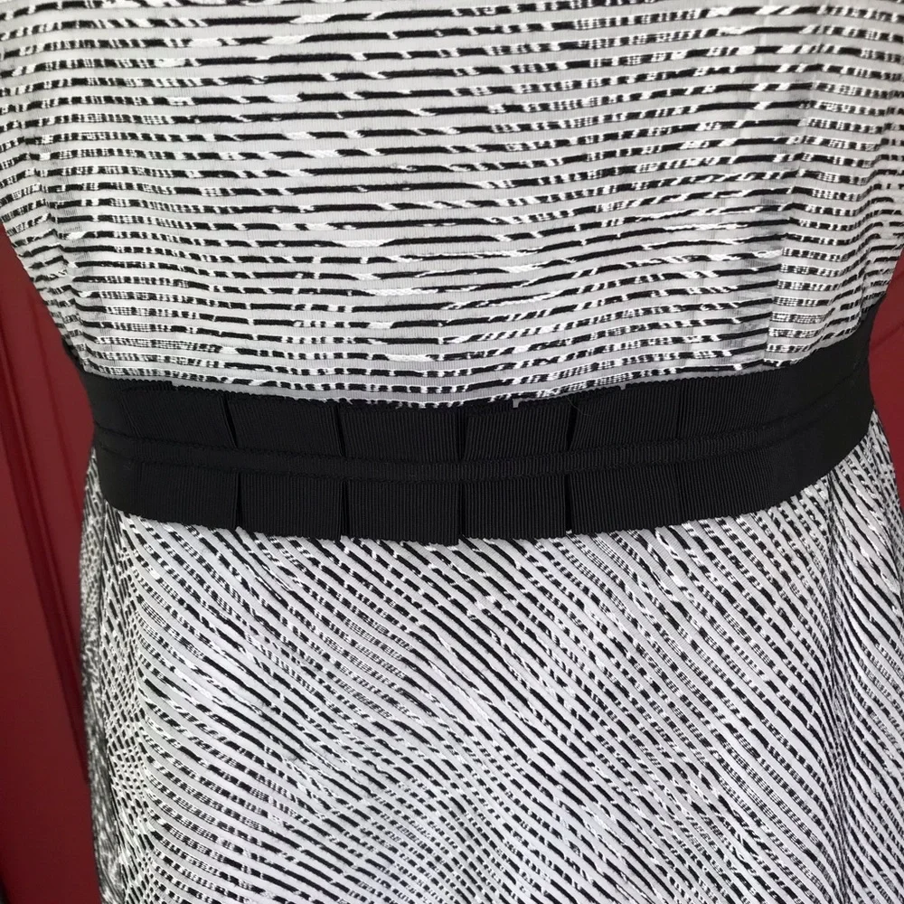 Antonio Melani Sleeveless Black White Lined Grosgrain Waist Shift Dress Size 8 - Picture 8 of 13